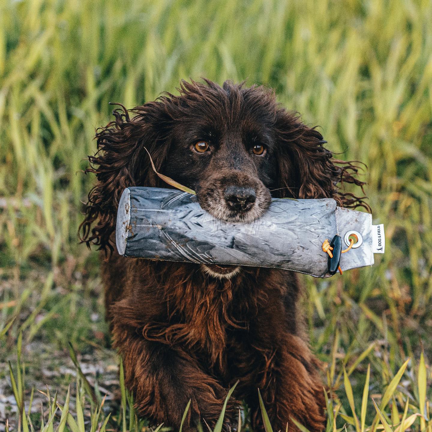 Die Original Clone 500gr Ringeltaubenpuppe