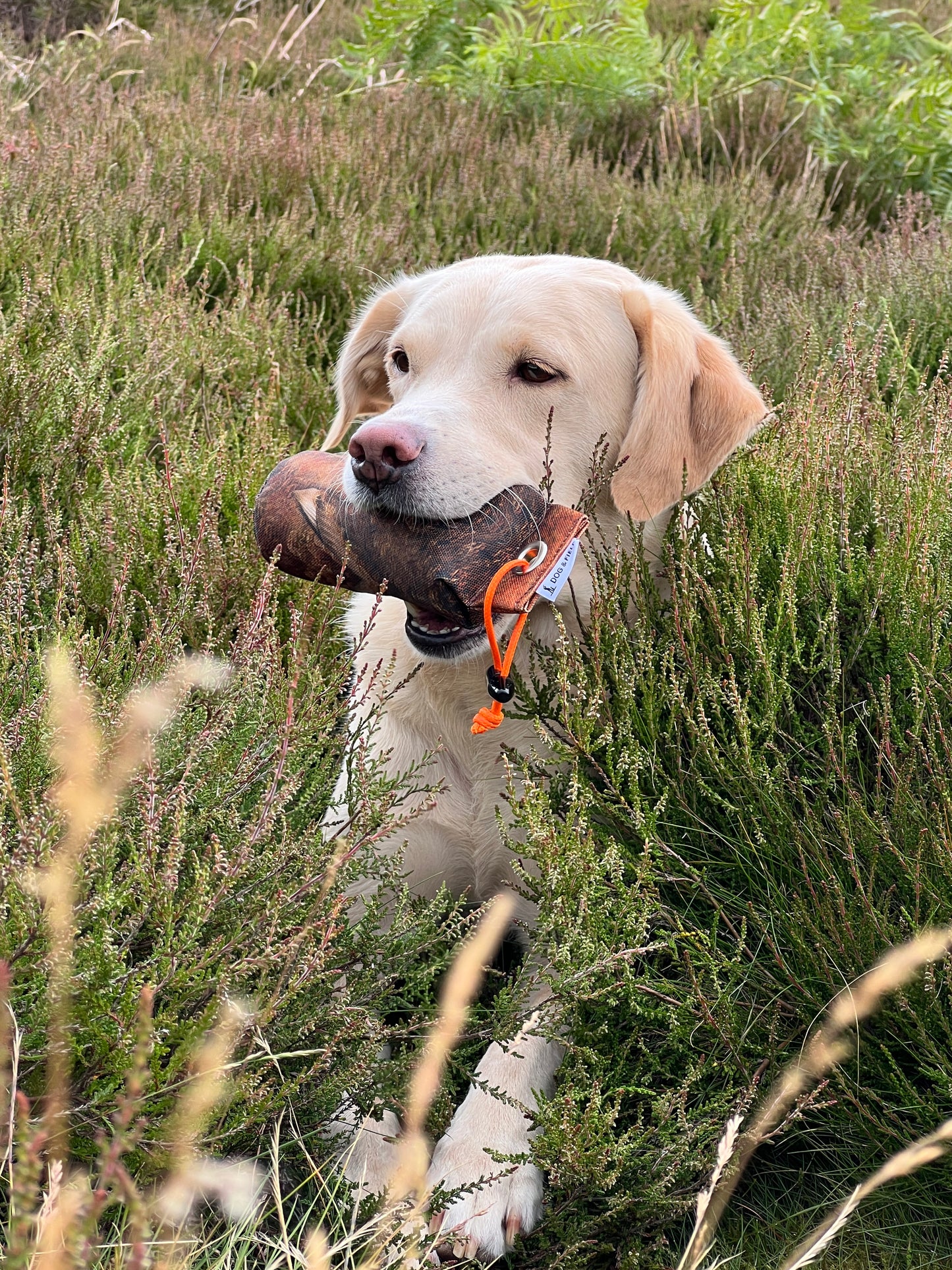 The Original Clone 250 gr Grouse Dummy