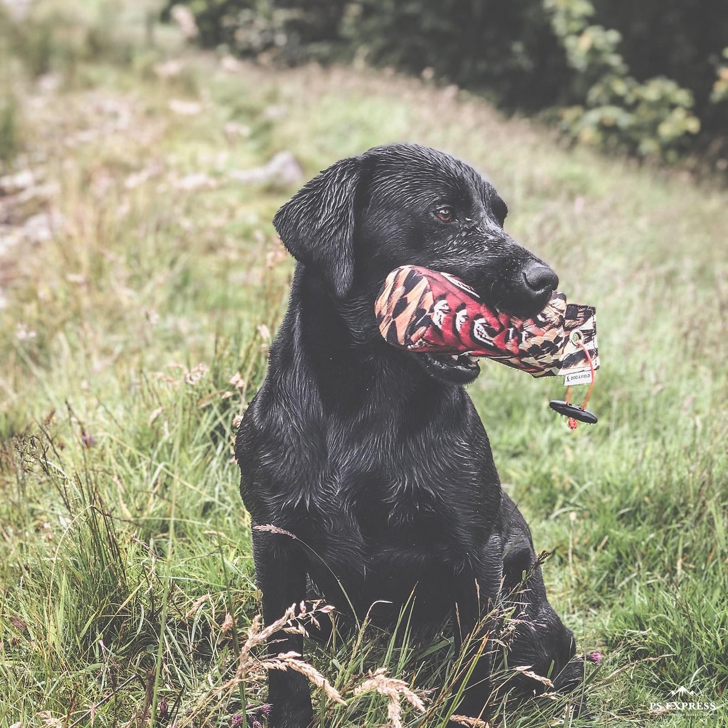 The Original Clone 500 gr Pheasant Rooster Dummy