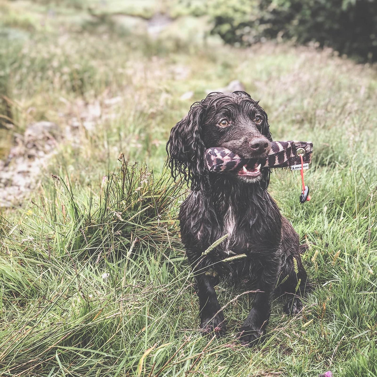 Der Original Clone 100gr Snip Dummy