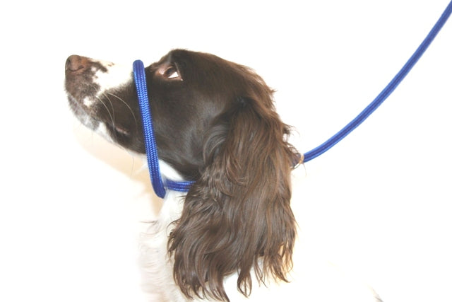 Abbildung 8 Halfterleinen – geflochtenes Nylon.