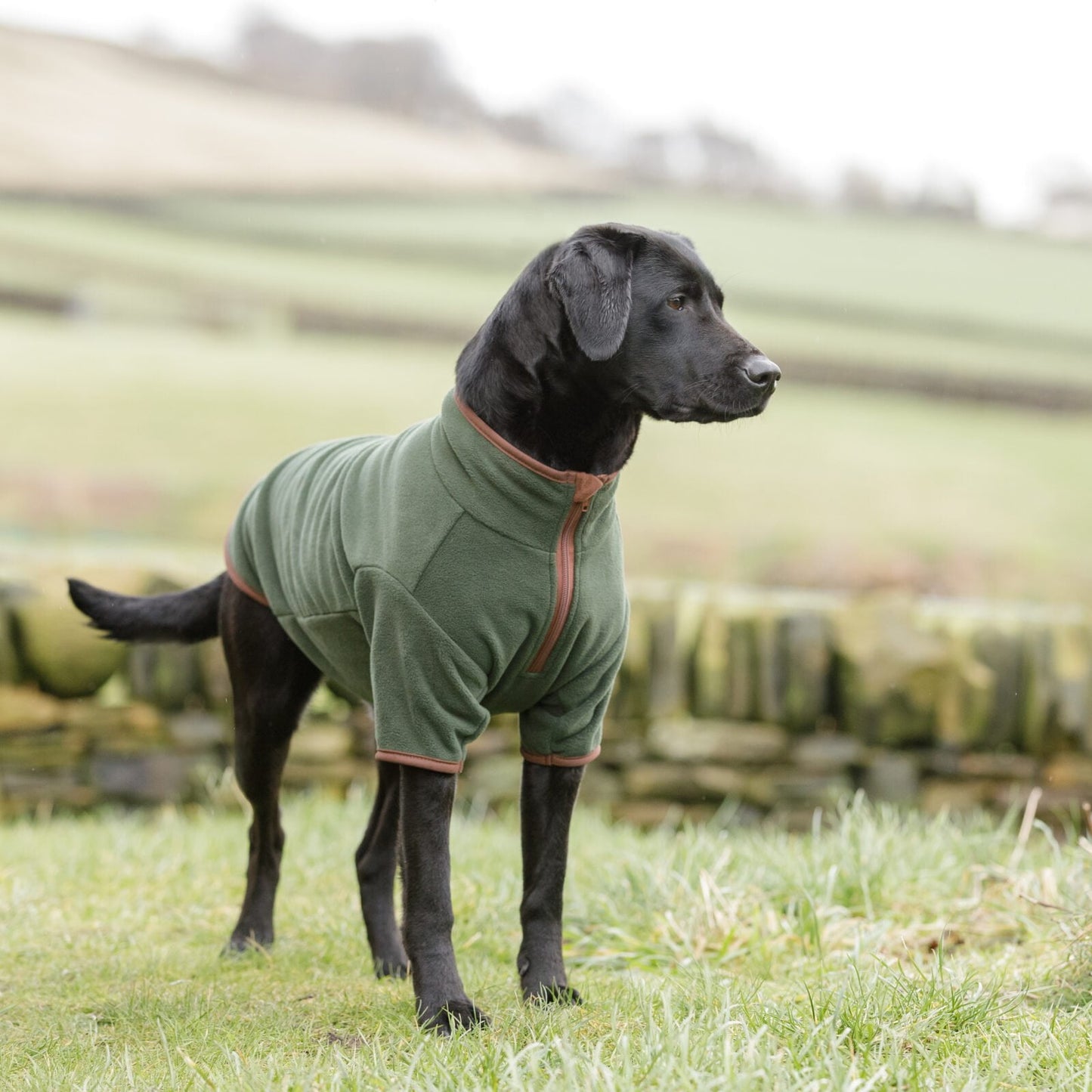 Dog & Field Thermotec Fleece Jumper
