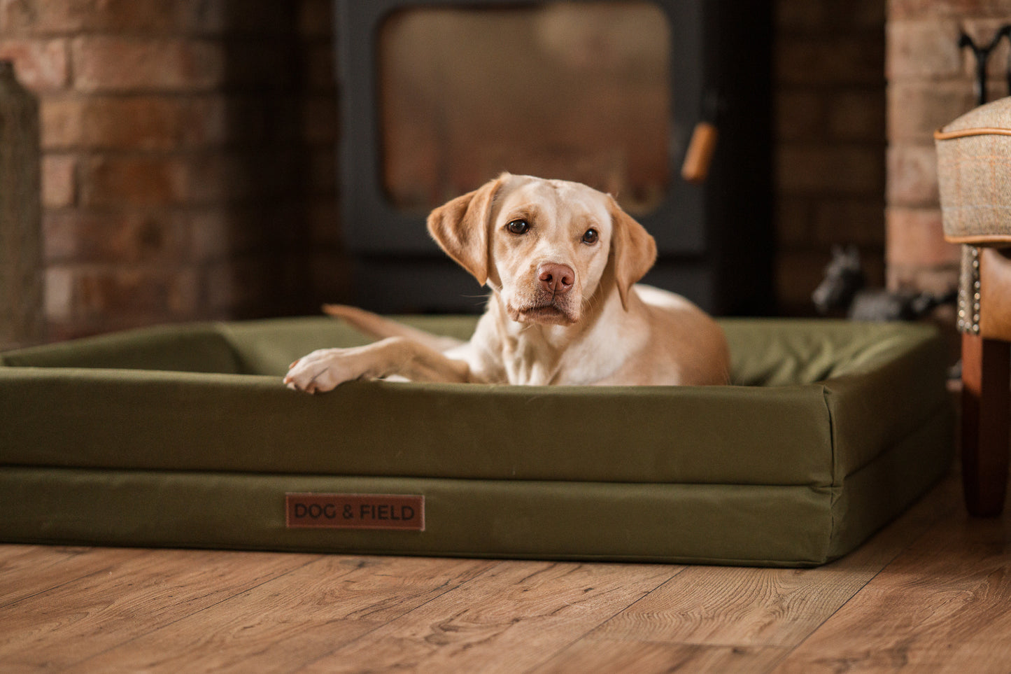 Dog & Field Dog Bed
