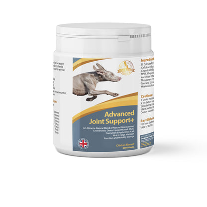Joint Support Supplement - 120 &amp; 300 Tablets
