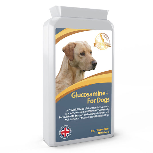Glucosamine -180 Tablets