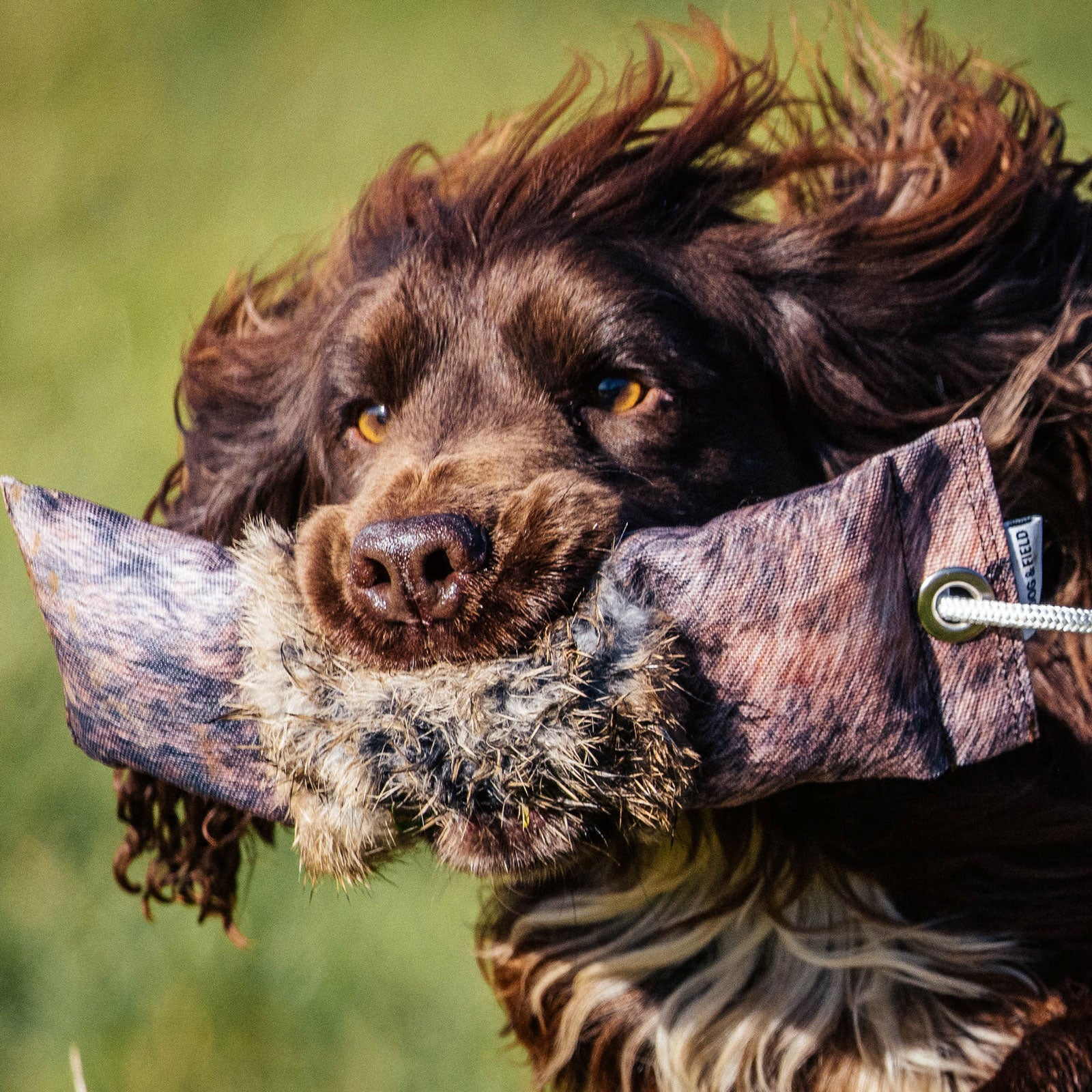 Konijn Dummy 500 Gram Small Mouth | Apport voor kleinere hond Konijn Dummy 500 Gram Small Mouth | Apport voor kleinere hond