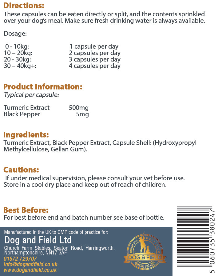 Kurkuma-Curcumin - 60 Kapseln